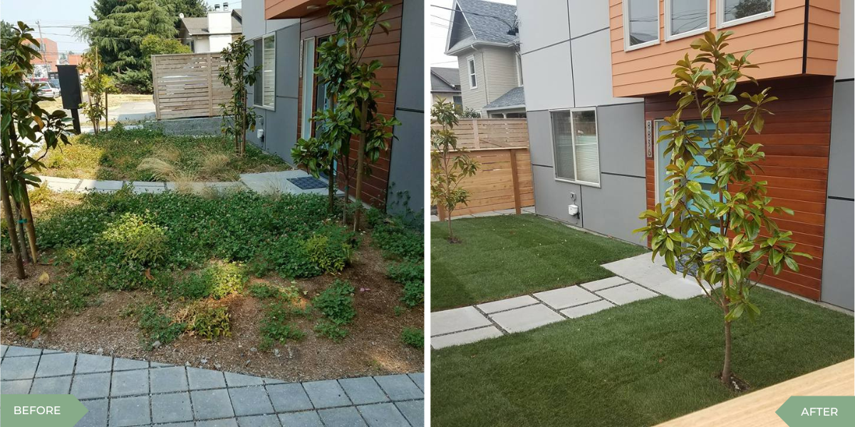 Before and after professional mowing